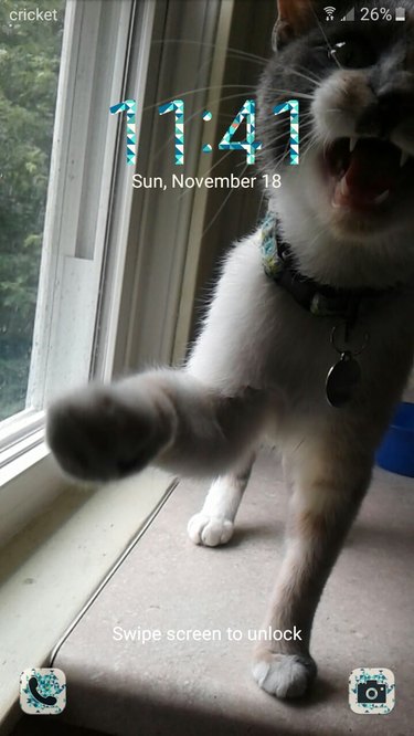 28 cat-themed locks screens for your phone