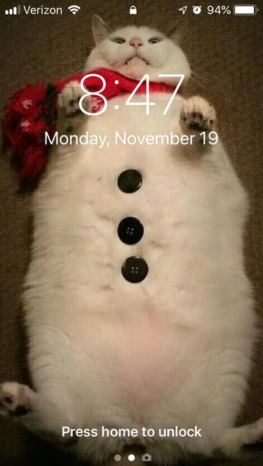 28 cat-themed locks screens for your phone