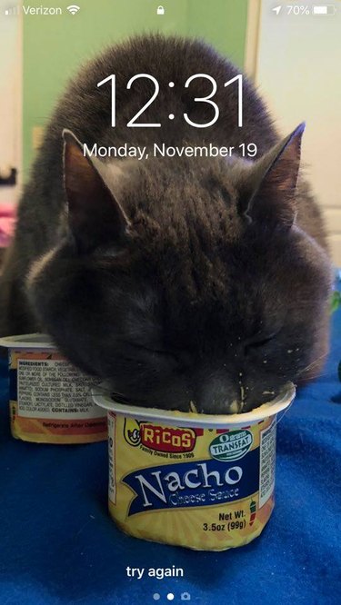 28 cat-themed locks screens for your phone