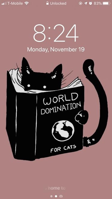 28 cat-themed locks screens for your phone