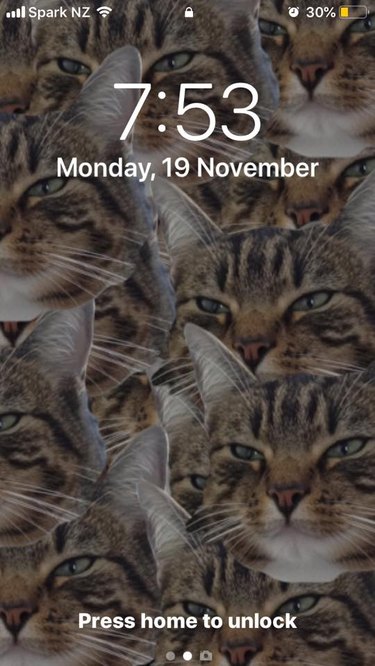 28 cat-themed locks screens for your phone