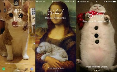 28 cat-themed locks screens for your phone