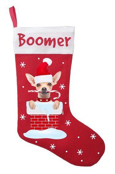 doodle dog stocking