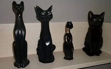 black cats sits next to black cat figurines