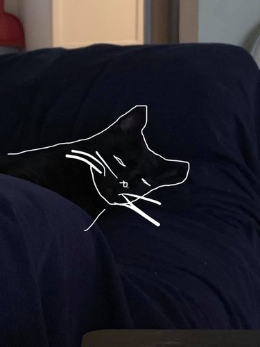 woman draws whiskers on picture of black cat