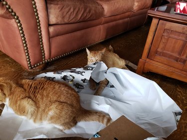 kittehs playing with wrapping paper
