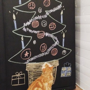 cat stares at chalk drawing of Christmas tree