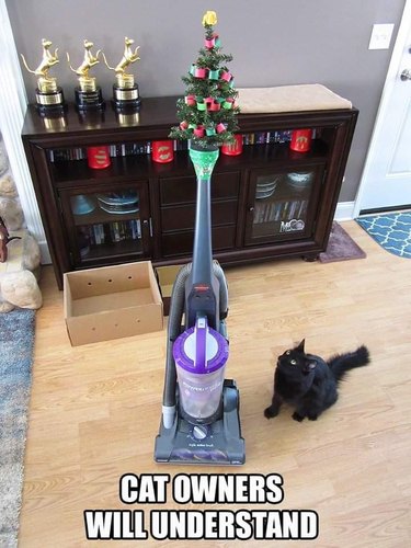 black cat tempted by mini Christmas tree on top of vacuum cleaner
