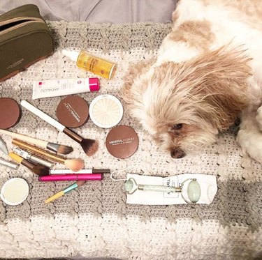 dog surrounded by makeup