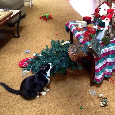 cat drags small Christmas tree to ground