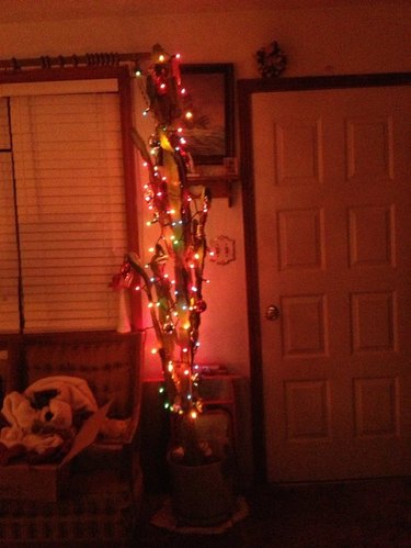 Christmas cactus covered in lights in living room