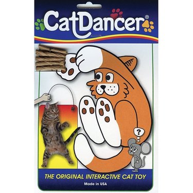 Cat dancer toy in package