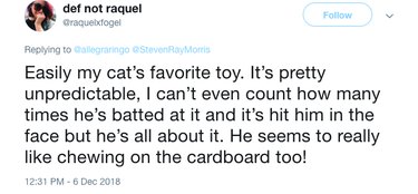 A tweet about the Cat Dancer toy