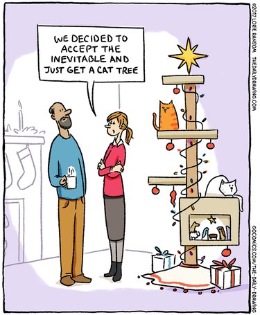 Cats vs Christmas trees