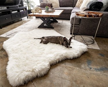 PupRug Polar Bear Faux Fur Hide Memory Foam Bed