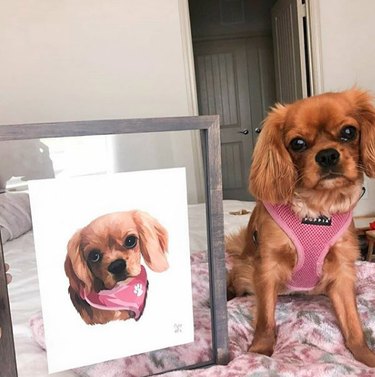 dog next to a framed custom portrait.