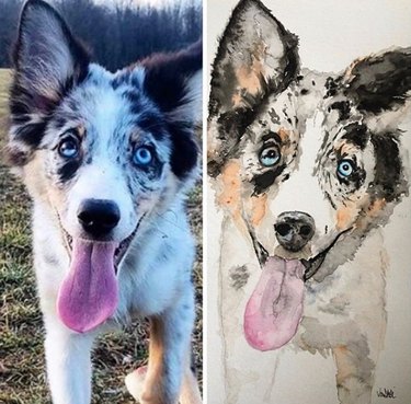 side by side of husky and its portrait.