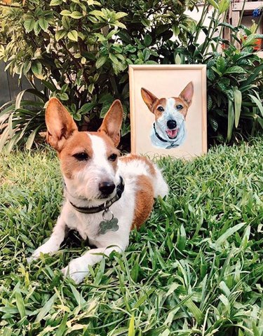 dog in grass with his custom portrait