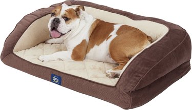 Serta Orthopedic Quilted Dog Couch Bed
