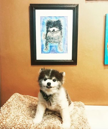 pomeranian next to its custom portrait.