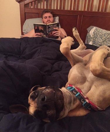 20 people who said they didn't want pets