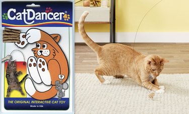 cat plays with cat dancer toy
