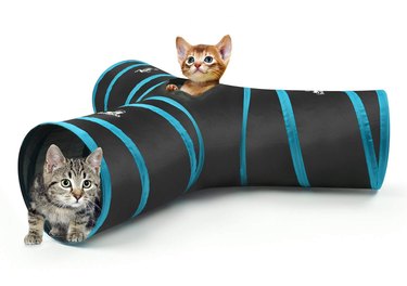 cats play in collapsible cat tunnel