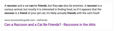 Raccoons in the Attic's answer to the google question "can cats and raccoons be friends?"