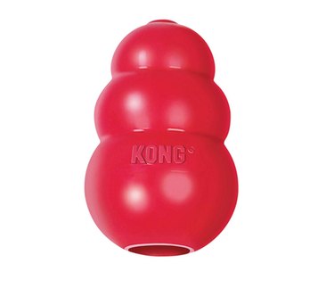 Kong dog toy