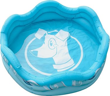inflatable pool for dogs