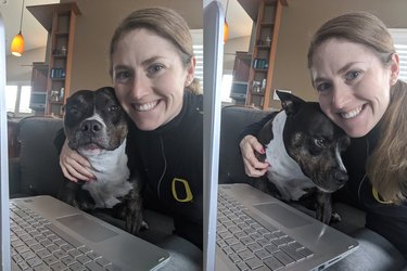 dog cuddling owner behind laptop