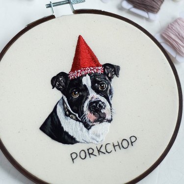 20 Dogs — And 1 Cat — Rocking Sweet Party Hats