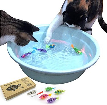 Cats play with swimming robot fish toy
