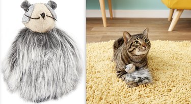 cat plays with Rowdy Raccoon Plush Electronic Sound Cat Toy