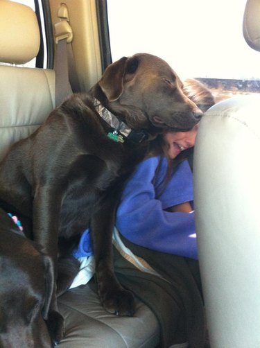 Dog sleeping propped against child in backseat of car.