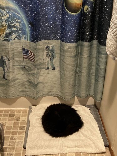 A black cat curled into a ball on a towel by a shower.