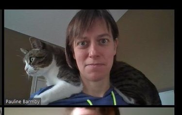 cat sits on doctor's shoulder during zoom chat