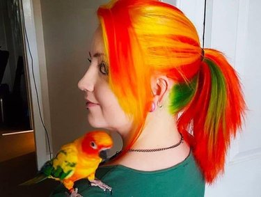 Colorful bird sitting on shoulder of woman with similarly colored hair.
