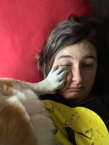 corgi wakes up woman by stepping on her face