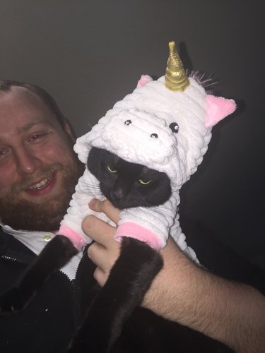Cat doesn't like his unicorn costume