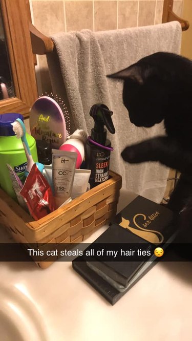 Cat stealing a hair tie