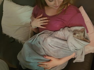 Cat swaddled in a blanket