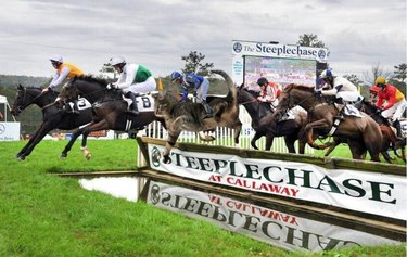 cat photoshopped onto horse leaping over barrier