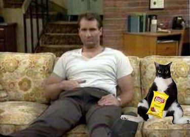 cat photoshopped next to Al Bundy