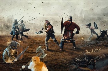 cats photoshopped into medieval battle