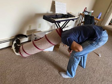 A man and cat stare at each other through a cat tunnel.