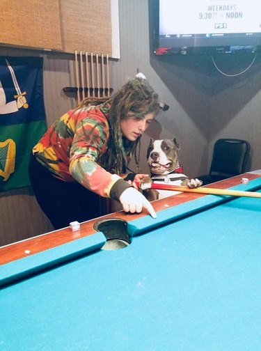 A woman and dog play at a pool table.