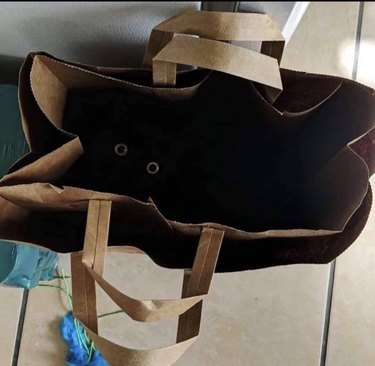 A black cat hides inside a paper bag, their eyes are wide.