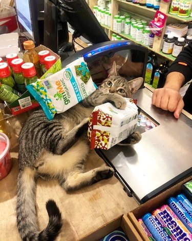 A cat is on a store counter with groceries, and refuses to give back a bag.
