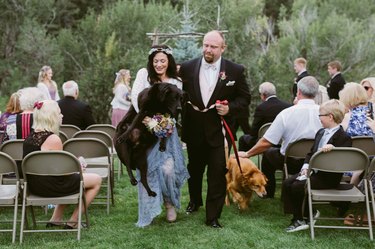 Big dog being carried down the aisle by bride in wedding